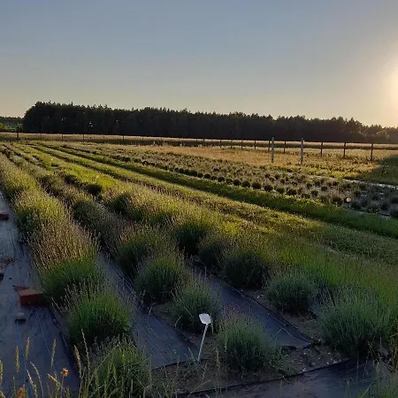 Lawendowa Sonata 아파트 *