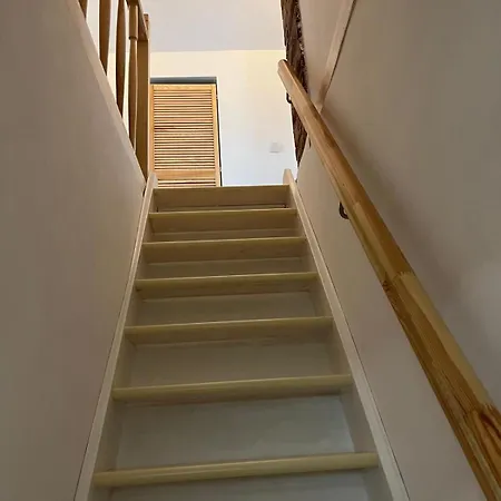 Lawendowa Sonata * Nowe Miasto (Plonsk)