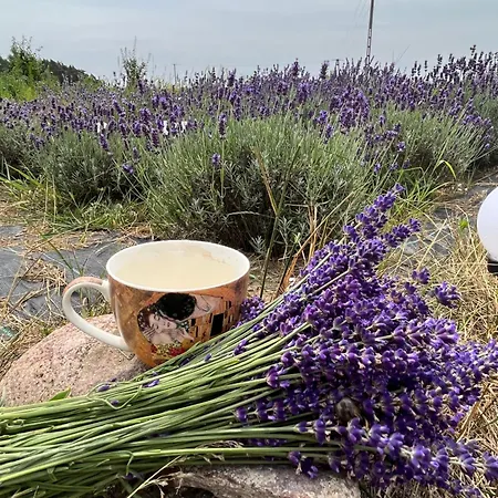 아파트 Lawendowa Sonata